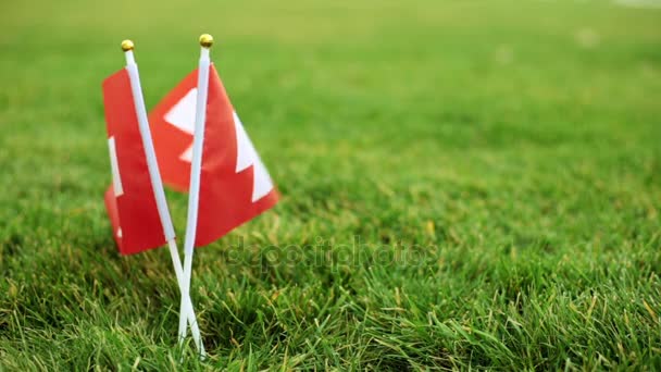 Švýcarská vlajka a fotbalový míč. Vlajka Švýcarska a fotbalový míč v trávě. — Stock video