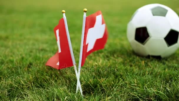 Flagge der Schweiz und Fussball auf dem Rasen. Schweizer Flagge und Fussball. — Stockvideo
