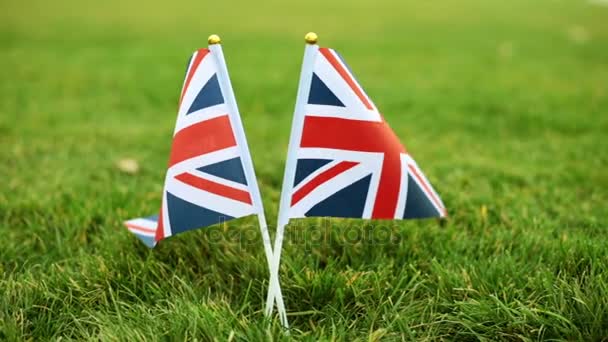 Bandera de Gran Bretaña en la hierba. La bandera del Reino Unido ondea al viento . — Vídeos de Stock