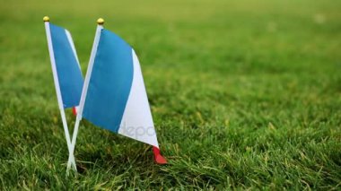 Fransa bayrağı çim. Fransız bayrağının rüzgârda çırpınıyor.