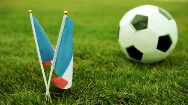 Fransa ve futbol topu bayrağı. Fransız bayrağı ve topu çimenlerin üzerinde. — Stok video
