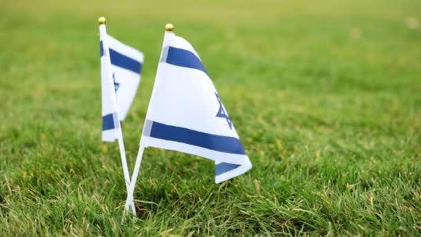 Флаг Израиля на траве. Флаг Израиля развевается на ветру . — стоковое видео