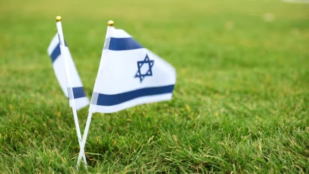 İsrail ve futbol topu bayrağı. İsrail bayrağı ve topu çimenlerin üzerinde. — Stok video
