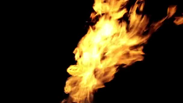 Een vurige vlam op een zwarte achtergrond. Een felle brand in het donker. — Stockvideo
