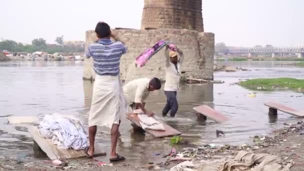 Agra, Indien, - Mars 2020. Män tvättar kläder på en flod i Indien. — Stockvideo