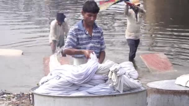 Agra, Indien, - März 2020. Traditionelle Wäsche am Fluss in Indien. — Stockvideo