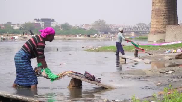 Agra, India, marzo 2020. Operaio indiano lava i vestiti al fiume lavanderia . — Video Stock