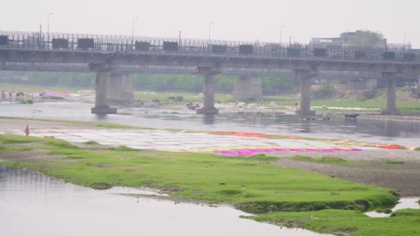 Agra, India, marzo de 2020. Gran lavandería en el río en la India. La ropa se seca en el suelo . — Vídeos de Stock