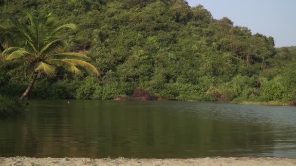 Vacker tropisk sjö i djungeln. Indien, Goa, Arambol, den berömda Sweet Lake. — Stockvideo