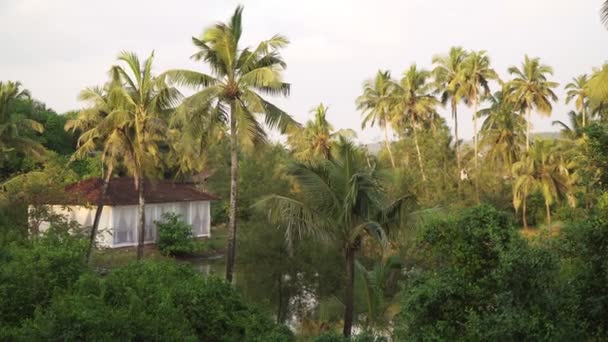 Vue pittoresque sur le lac, les cocotiers et la maison 