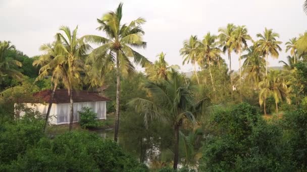 Vista pittoresca sul lago, alberi di cocco e la casa — Video Stock