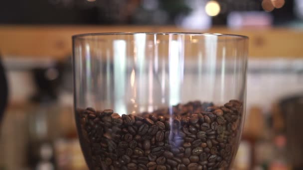 Barkeeper gießt Kaffeebohnen in eine professionelle Kaffeemühle — Stockvideo