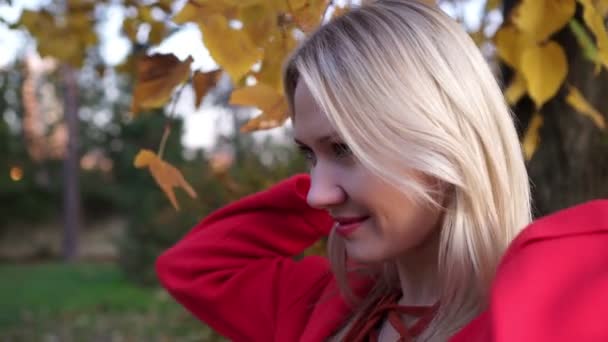 Otoño cálido, retrato de una hermosa mujer en un parque de otoño . — Vídeo de stock