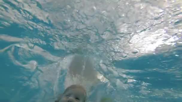 Chica bajo el agua en una piscina. El niño se sumerge en la piscina — Vídeo de stock