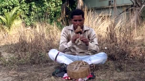 Een mannelijke Indische slangenbezweerder speelt fluit — Stockvideo