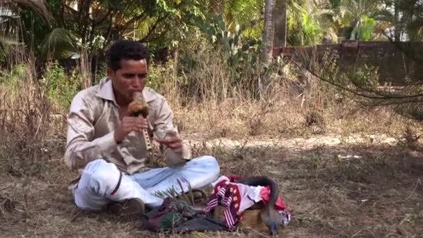 인도 뱀 사냥꾼 수컷. 코브라를 든 인도 사람 이 피리를 불고 있다 — 비디오