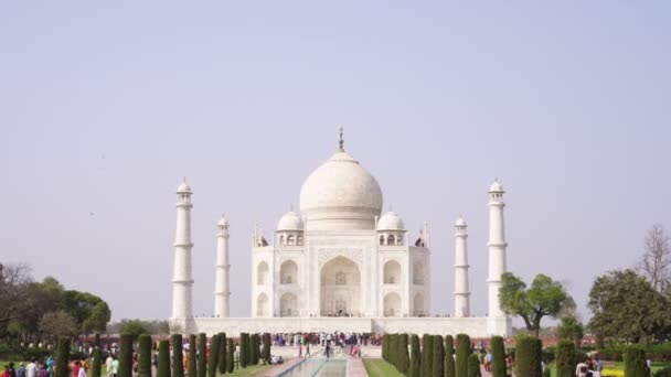 Agra, Indie - marzec 2020. Park i widok na Taj Mahal. Hinduski cud świata — Wideo stockowe