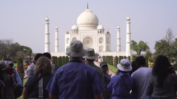 Agra, India - March 2020. Tourists are photographed against the backdrop of the Taj Mahal — Stock Video