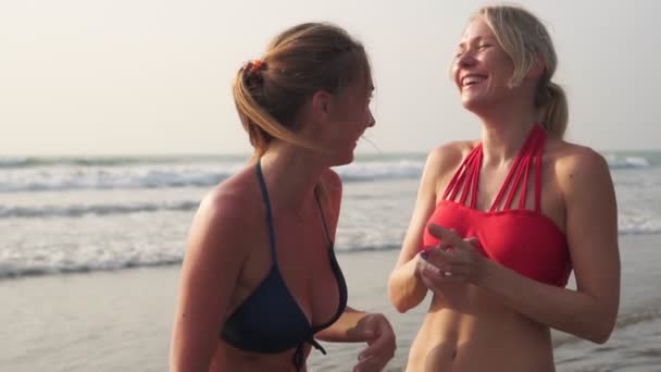 Jovens namoradas conversam e riem na praia do mar — Vídeo de Stock