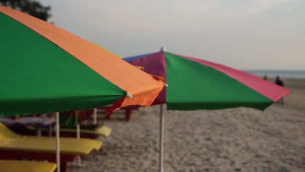 Sombrillas en una playa de arena marina. Balneario, India, Goa — Vídeo de stock