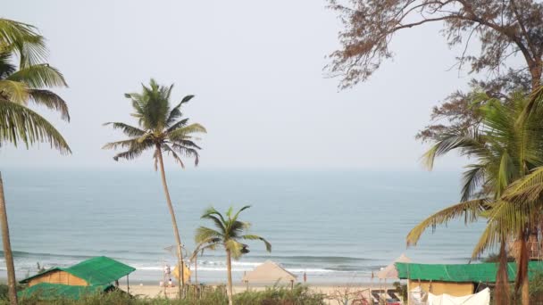 Krásné tropické pozadí: palmy, písečná pláž, moře a obloha. Indie, Goa — Stock video