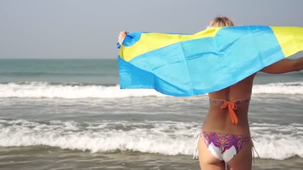 Женщина со шведским флагом на пляже. Девушка в бикини со шведским флагом на море — стоковое видео