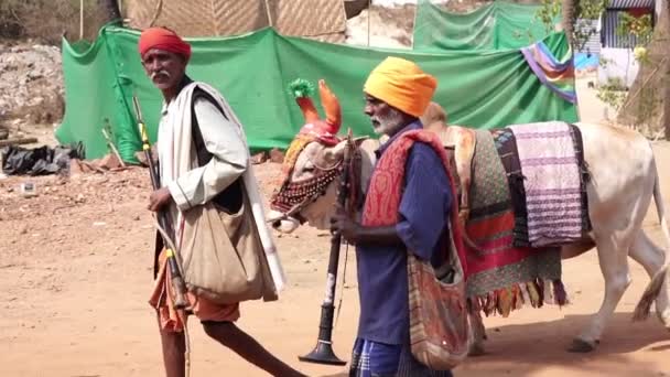 Arambol, Índia - Janeiro 2020. Artistas indianos, músicos de rua e vagabundos com touro . — Vídeo de Stock