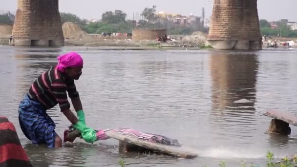 Agra, India, febrero de 2020. La gente lava ropa en el río. Lavandería tradicional india en el río . — Vídeos de Stock