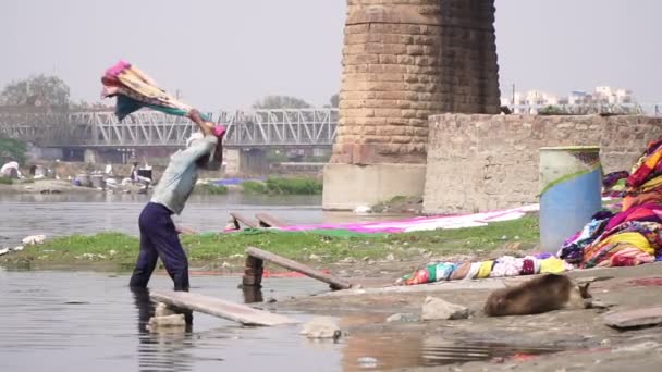 Agra, Indien, Februar 2020. Traditionelle indische Wäsche am Fluss. Menschen waschen Kleidung auf dem Fluss. — Stockvideo