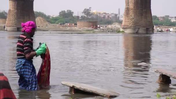 Agra, Indie, luty 2020. Indyjskie tradycyjne pranie na rzece. Biedna Azja ze słabą ekologią. — Wideo stockowe