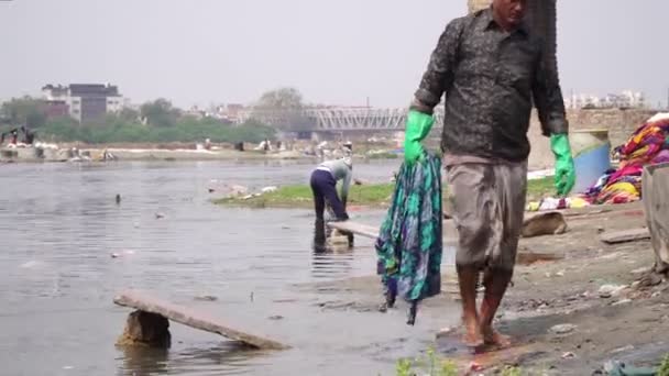 Agra, India, 2020. február. Folyami szennyes Indiában. Egy indiai férfi a hagyományos módon mos ruhát a folyón.. — Stock videók