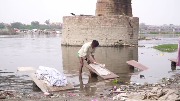 Agra, Indien, februari 2020. Traditionell indisk tvätt på Yamuna eller Jamna floden i staden Agra. — Stockvideo