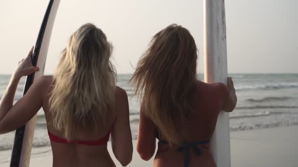 Donne in spiaggia con tavole da surf. Surfisti fidanzate sullo sfondo del mare — Video Stock