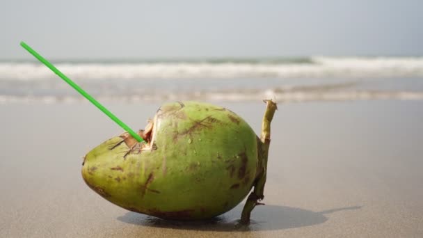 Frisse groene kokosnoot ligt op een zandstrand op een achtergrond van zee golven — Stockvideo