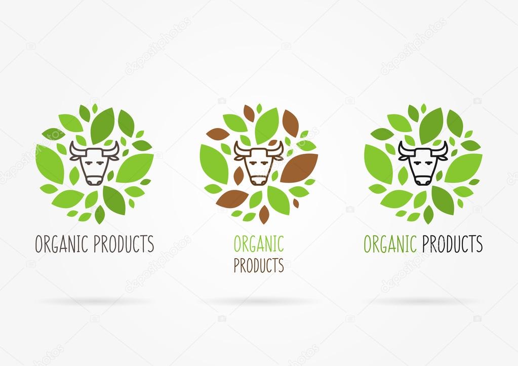 Organic products labels with cow head and leaves. Vector concept.