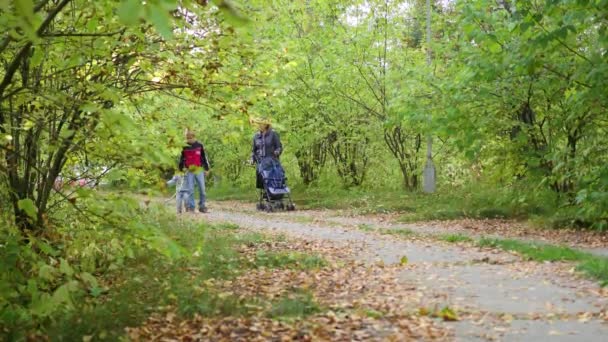 Abuela con nietos caminando en el parque — Vídeos de Stock