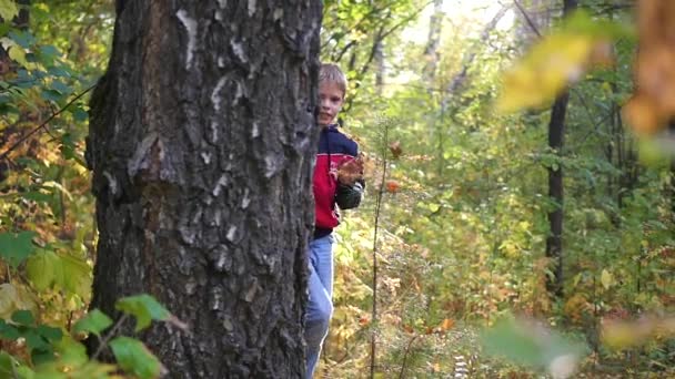 Un niño lindo se asoma detrás de un árbol en el parque — Vídeo de stock