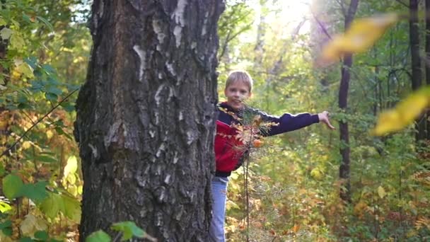 Un bambino carino sbircia da dietro un albero nel parco — Video Stock