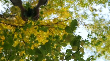 İnsanlar yaprakları atmak