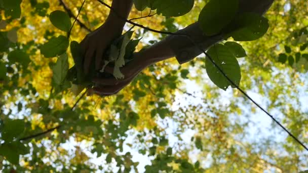 Die Leute werfen die Blätter weg — Stockvideo