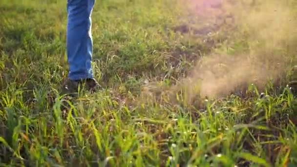 Füße treffen einen Fußballball aus nächster Nähe — Stockvideo