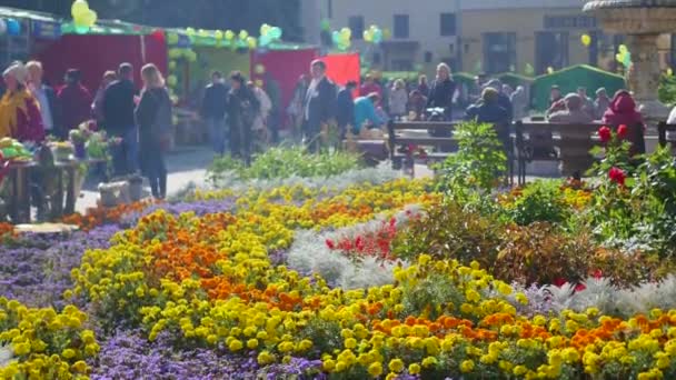 NOVOSIBIRSK, RUSSIA - September 21,2016: fair food — Stock Video