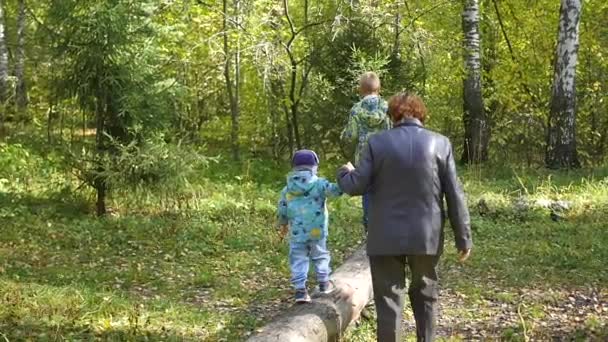 Grand-mère avec des enfants marchant dans le parc — Video