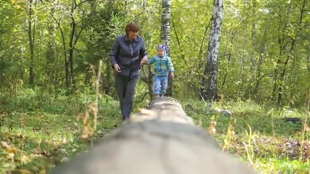 Abuela con niño caminando en el parque — Vídeo de stock