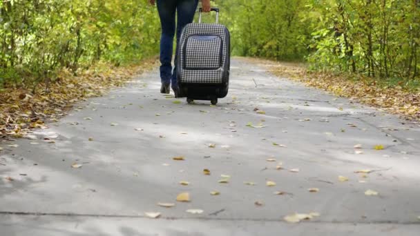 Fille avec valise marchant le long du chemin dans le parc — Video