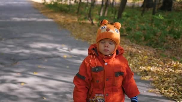 El hermoso niño caminando en otoño Parque — Vídeos de Stock