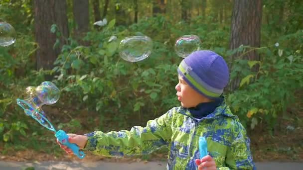 Menino faz grandes bolhas de sabão no parque com prazer — Vídeo de Stock