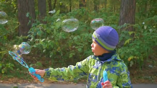 Boy makes big soap bubbles in the Park with delight — Stock Video