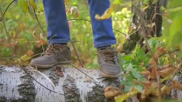 Un niño divertido salta sobre un árbol caído en el parque — Vídeos de Stock