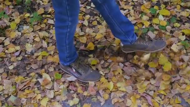 Uma criança em um passeio no parque na folhagem de outono — Vídeo de Stock